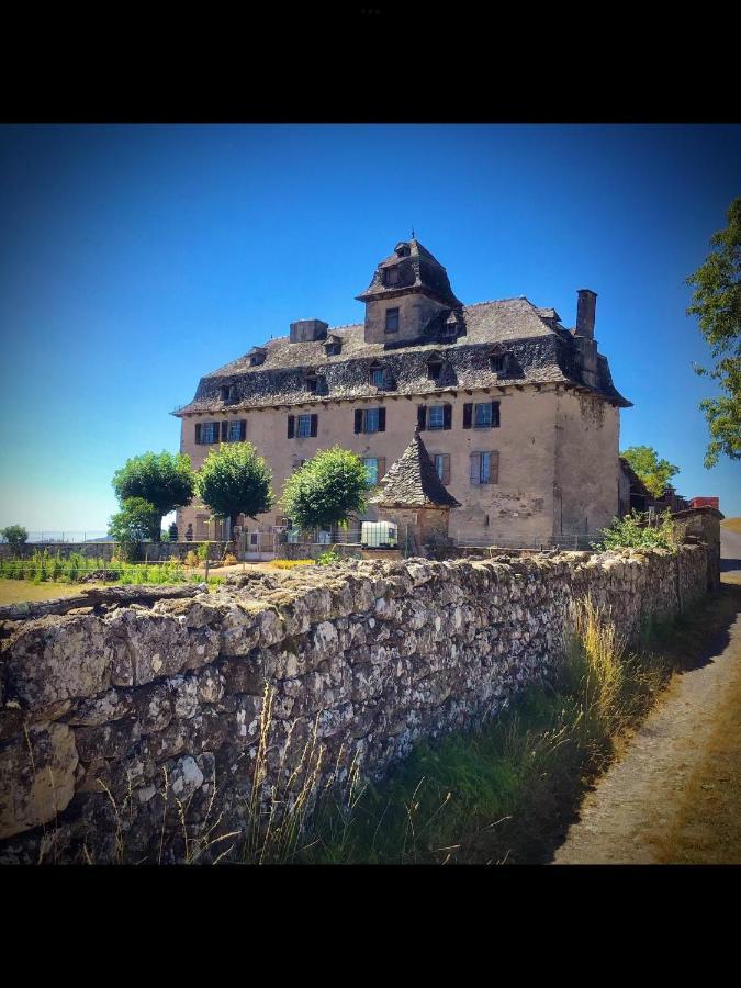 Chateau De Cours Senezergues Ngoại thất bức ảnh
